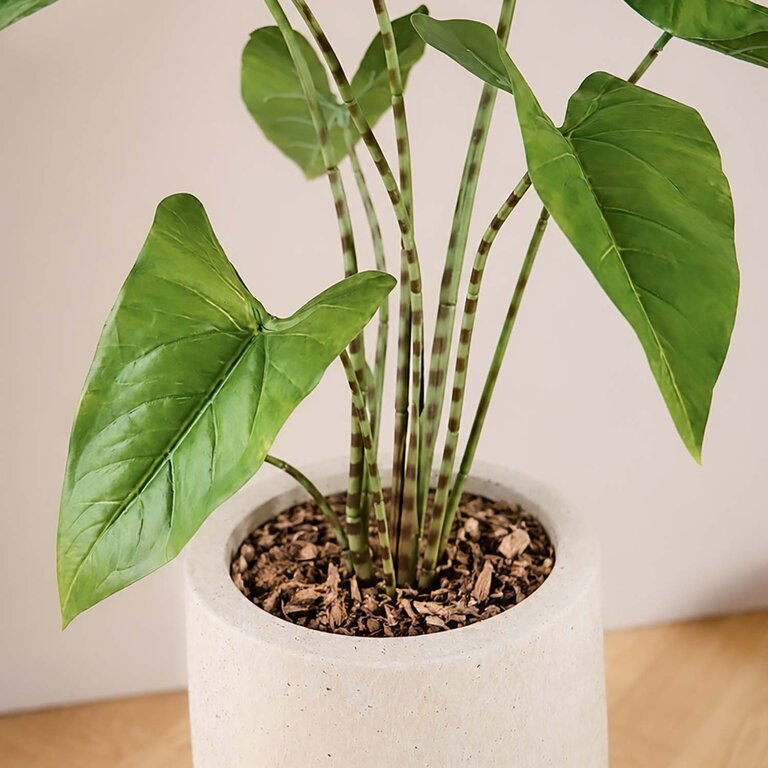 Kunstplant Alocasia Zebrina met groene bladeren is een middelgrote kunstplant in binnenpot met een natuurgetrouwe uitstraling en een hoogte van 75 cm.