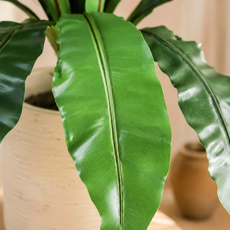 Kunstplant Asplenium Varen met groene bladeren is een middelgrote kunstplant in binnenpot met een natuurgetrouwe uitstraling en een hoogte van 75 cm.
