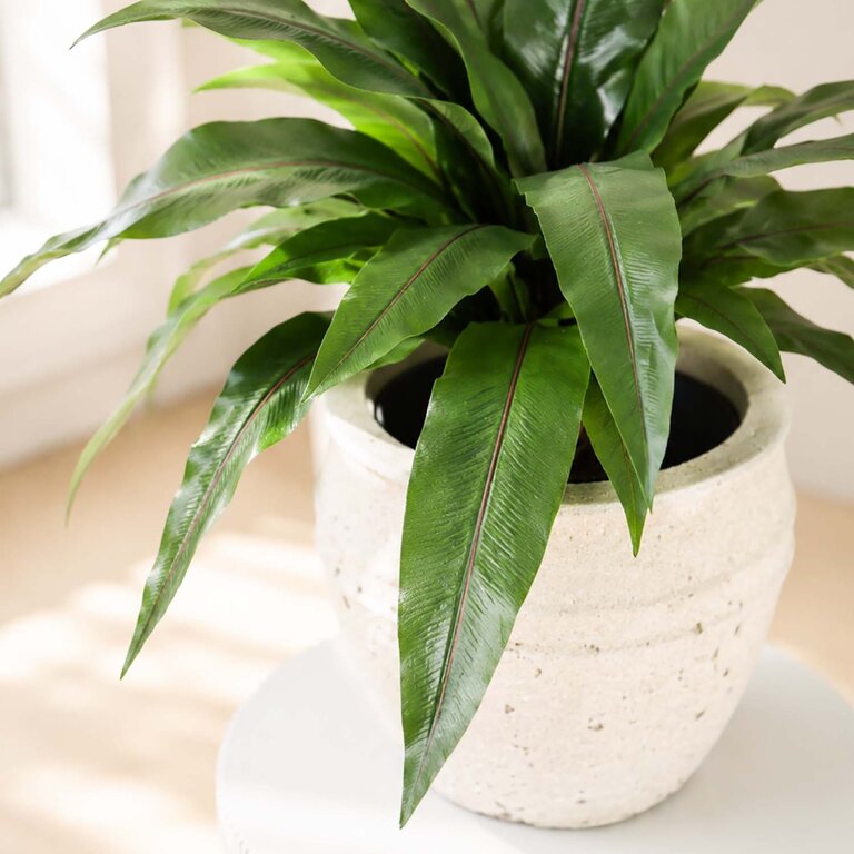 Kunstplant Asplenium Varen met groene bladeren is een middelgrote kunstplant in binnenpot met een natuurgetrouwe uitstraling en een hoogte van 80 cm.