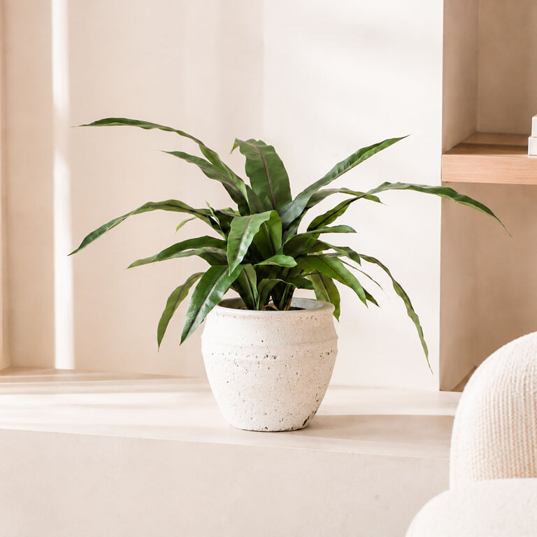 Kunstplant Asplenium Varen met groene bladeren is een middelgrote kunstplant in binnenpot met een natuurgetrouwe uitstraling en een hoogte van 80 cm.