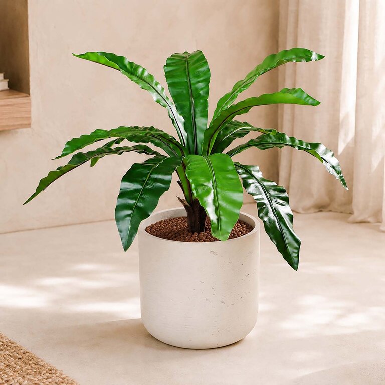 Kunstplant Asplenium Varen met groene bladeren is een middelgrote kunstplant in binnenpot met een natuurgetrouwe uitstraling en een hoogte van 75 cm.