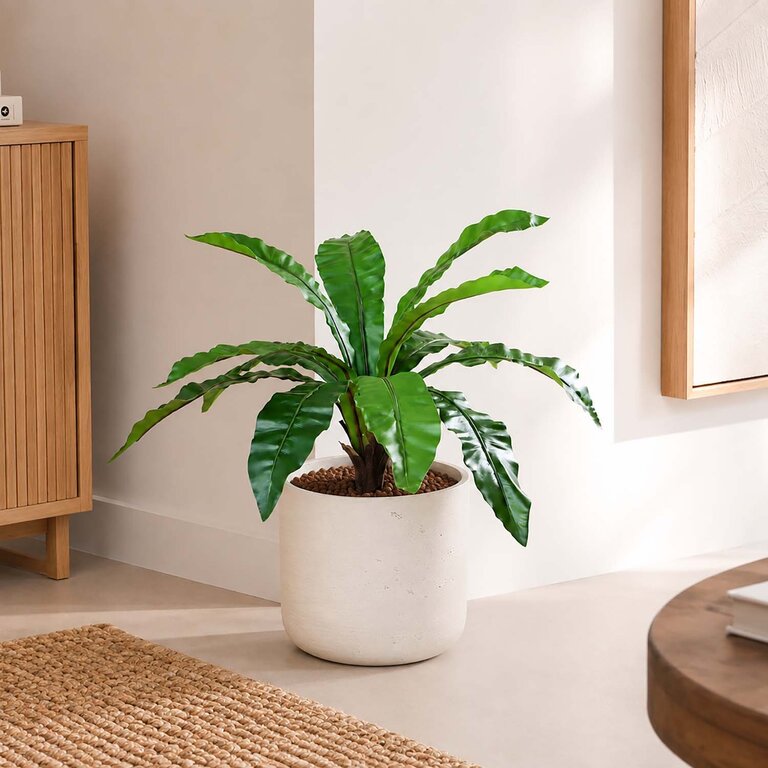 Kunstplant Asplenium Varen met groene bladeren is een middelgrote kunstplant in binnenpot met een natuurgetrouwe uitstraling en een hoogte van 75 cm.
