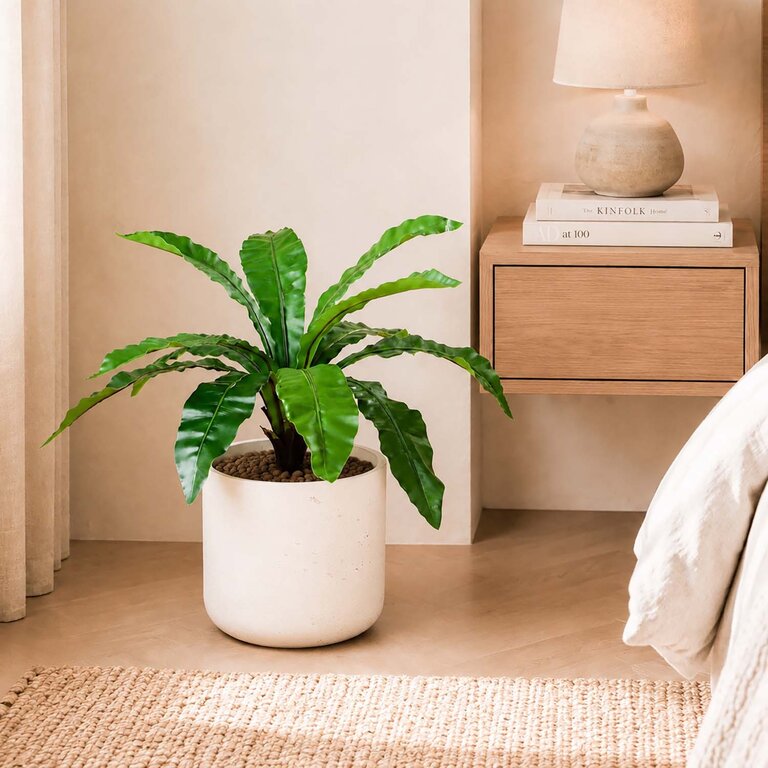 Kunstplant Asplenium Varen met groene bladeren is een middelgrote kunstplant in binnenpot met een natuurgetrouwe uitstraling en een hoogte van 75 cm.