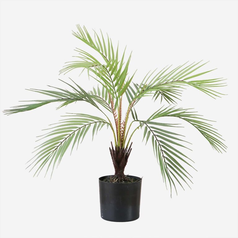 Kunstplant Chamaedorea Palm met groene bladeren is een middelgrote kunstplant in binnenpot met een natuurgetrouwe uitstraling en een hoogte van 50 cm.