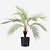 FloraWorks Kunstplant Chamaedorea Palm (50 cm)