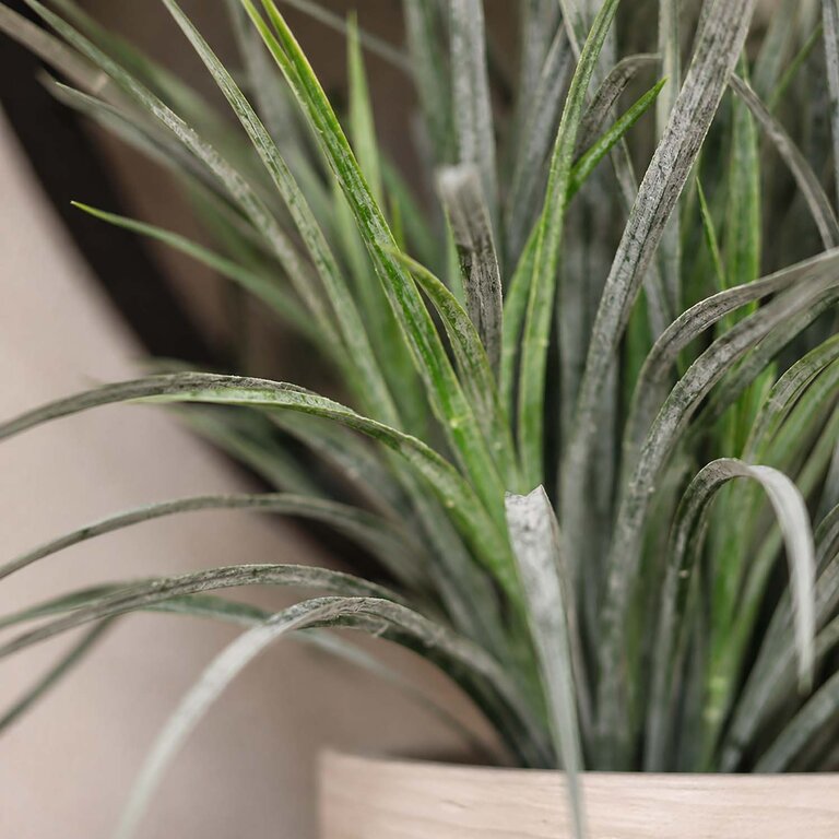 Kunstplant Gras is een kunstgras opgemaakt in pot Charlie in de kleur lichtgrijs met een natuurgetrouwe uitstraling en een hoogte van 50 cm.
