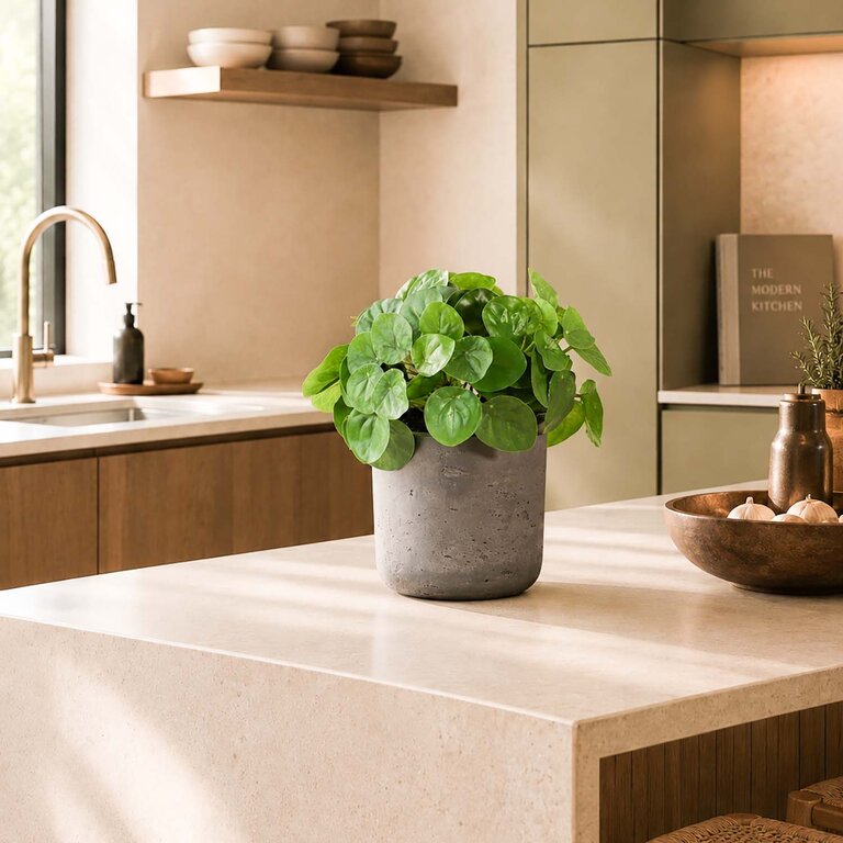 Kunstplant Mini Pilea met groene bladeren is een kleine kunstplant opgemaakt in pot Charlie in de kleur antraciet met een natuurgetrouwe uitstraling en een hoogte van 20 cm.
