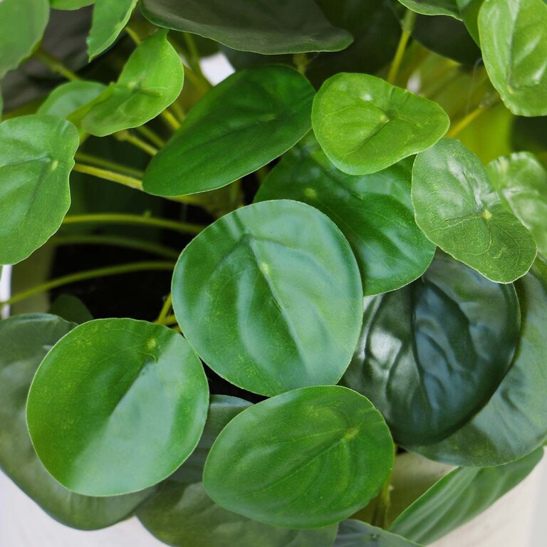 Kunstplant Mini Pilea met groene bladeren is een kleine kunstplant opgemaakt in pot Charlie in de kleur lichtgrijs met een natuurgetrouwe uitstraling en een hoogte van 20 cm.