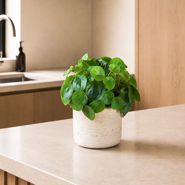 Kunstplant Mini Pilea met groene bladeren is een kleine kunstplant opgemaakt in pot Charlie in de kleur lichtgrijs met een natuurgetrouwe uitstraling en een hoogte van 20 cm.