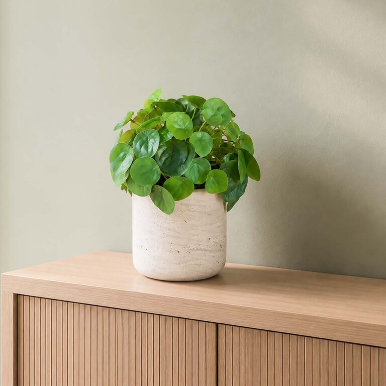 Kunstplant Mini Pilea met groene bladeren is een kleine kunstplant opgemaakt in pot Charlie in de kleur lichtgrijs met een natuurgetrouwe uitstraling en een hoogte van 20 cm.