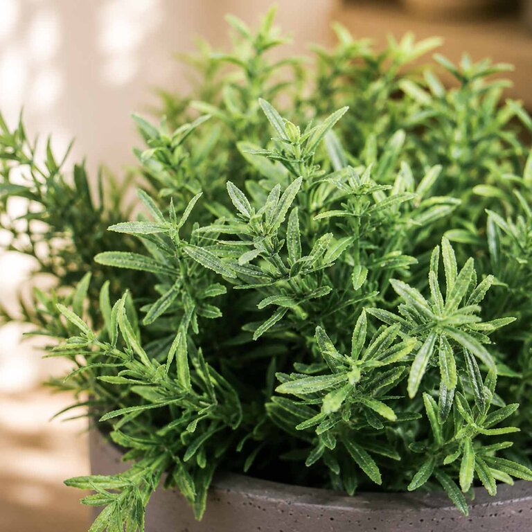 Kunstplant steker Rozemarijn met groene bladeren is een steekplant met een natuurgetrouwe uitstraling en een hoogte van 22 cm.