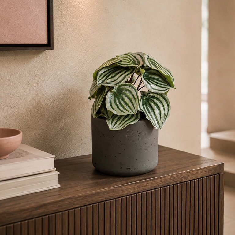Kunstplant steker Peperomia met groene bladeren is een steekplant met een natuurgetrouwe uitstraling en een hoogte van 25 cm.