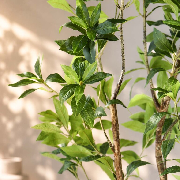 Kunstplant Theeplant met groene bladeren is een grote kunstplant in binnenpot met een natuurgetrouwe uitstraling en een hoogte van 185 cm.