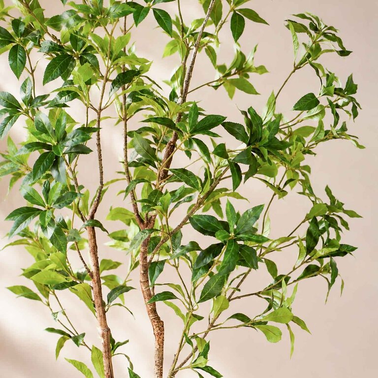 Kunstplant Theeplant met groene bladeren is een grote kunstplant in binnenpot met een natuurgetrouwe uitstraling en een hoogte van 185 cm.