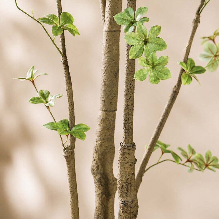 Kunstplant Tropaeolum met groene bladeren is een grote kunstplant in binnenpot met een natuurgetrouwe uitstraling en een hoogte van 245 cm.
