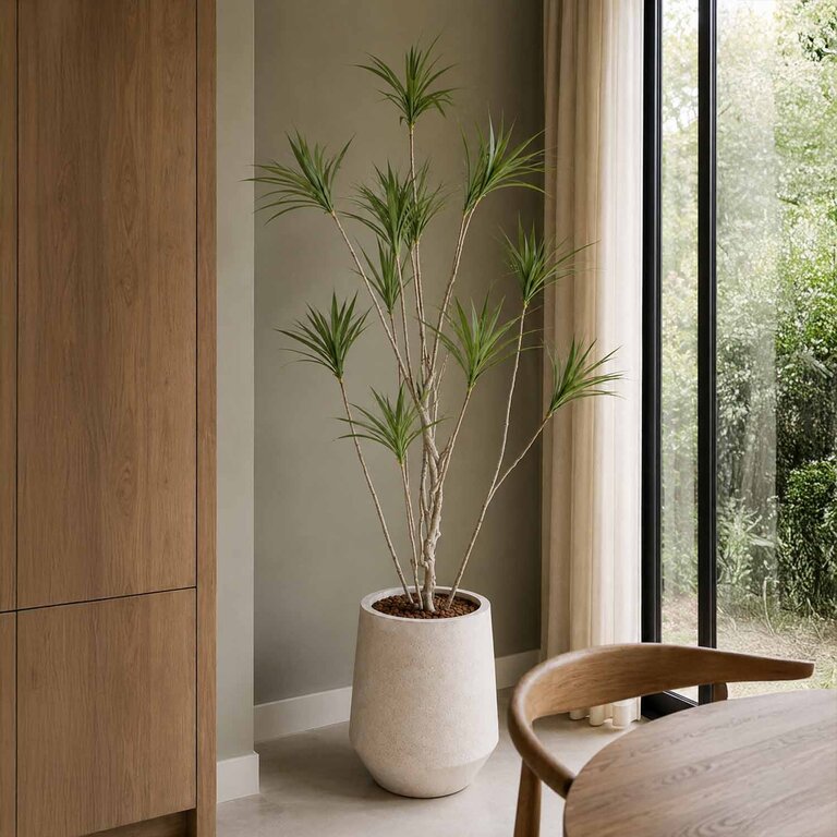 Kunstplant Dracaena met groene bladeren is een grote kunstplant in binnenpot met een natuurgetrouwe uitstraling en een hoogte van 180 cm.