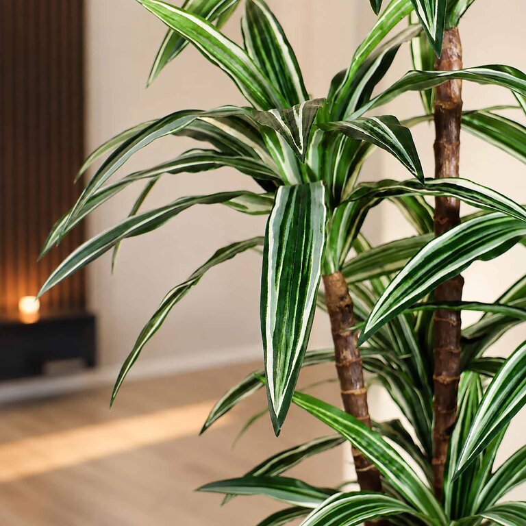 Kunstplant Dracaena met groene bladeren is een middelgrote kunstplant in binnenpot met een natuurgetrouwe uitstraling en een hoogte van 120 cm.