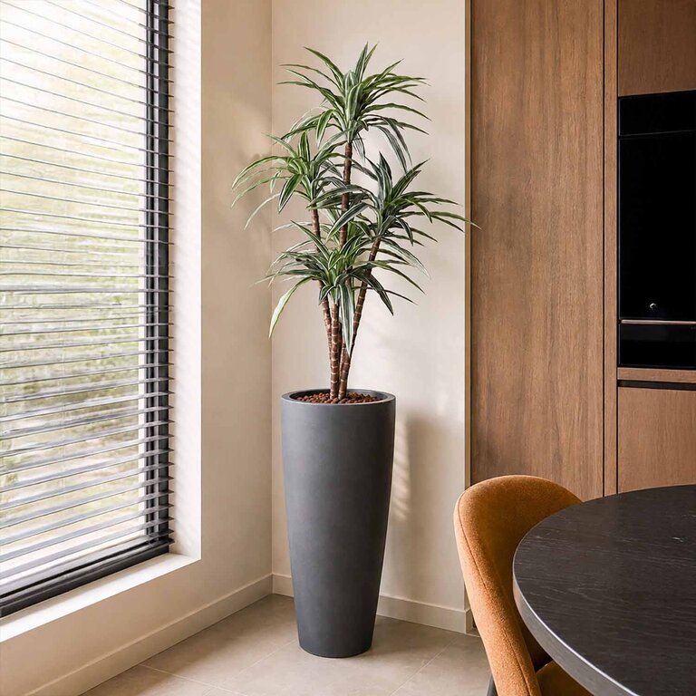 Kunstplant Dracaena met groene bladeren is een middelgrote kunstplant in binnenpot met een natuurgetrouwe uitstraling en een hoogte van 120 cm.