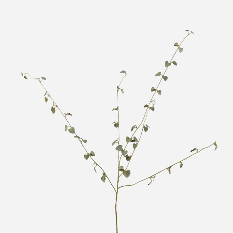 Kunsttak Eucalyptus met lichtbruine bladeren is een kunststeel met een natuurgetrouwe uitstraling en een lengte van 99 cm.