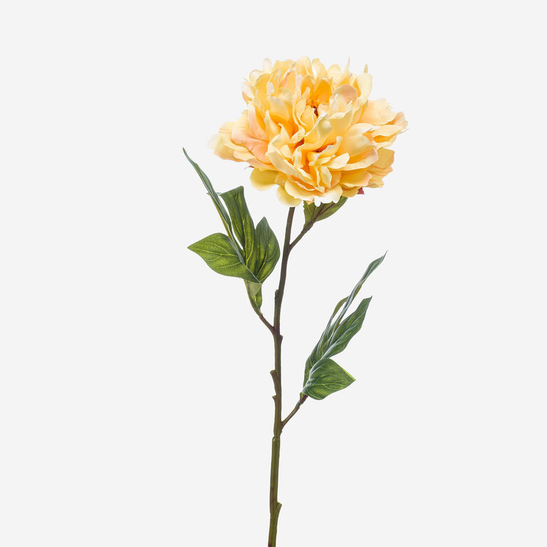 Kunststeel Pioenroos met gele zijden bloem en groene bladeren is een kunststeel met een natuurgetrouwe uitstraling en een lengte van 77 cm.