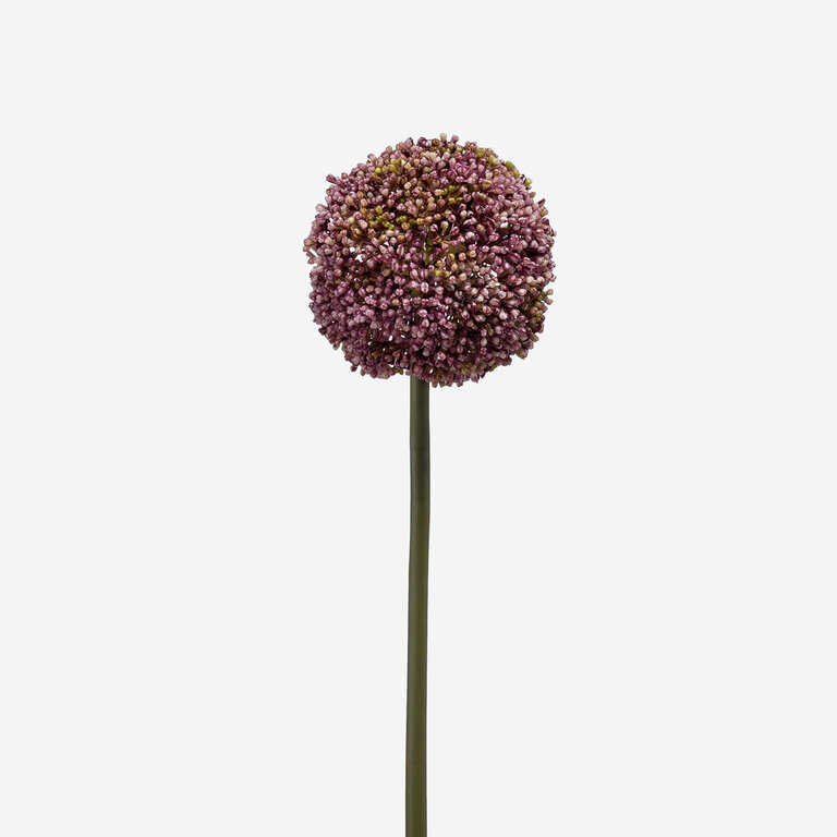 Kunststeel Allium met paarse bloem is een kunststeel met een natuurgetrouwe uitstraling en een lengte van 73 cm.