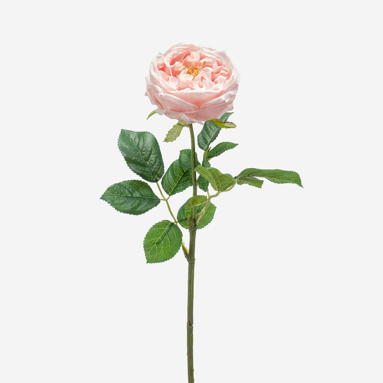 Kunststeel Roos met lichtroze zijden bloem en groene bladeren is een kunststeel met een natuurgetrouwe uitstraling en een lengte van 60 cm.