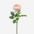 FloraWorks Kunstbloem Roos lichtroze (60 cm)