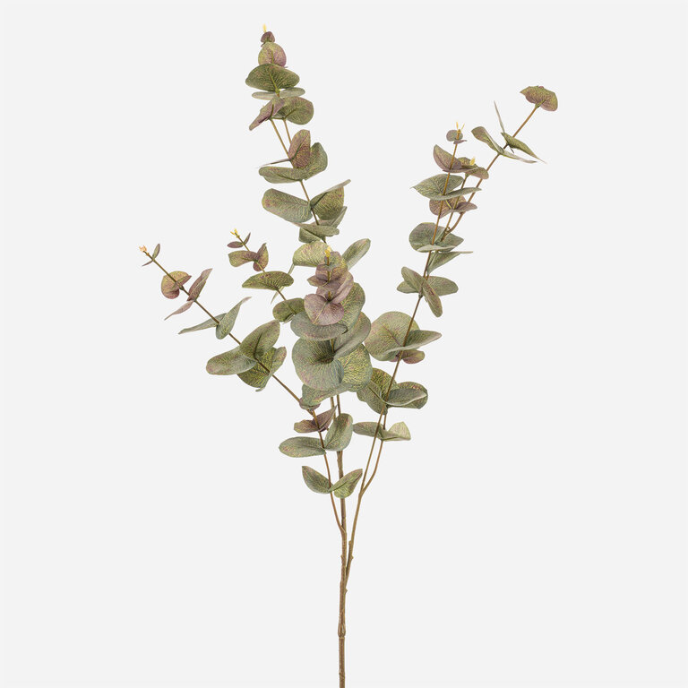 Kunsttak Eucalyptus met groengrijze bladeren is een kunststeel met een natuurgetrouwe uitstraling en een lengte van 73 cm.