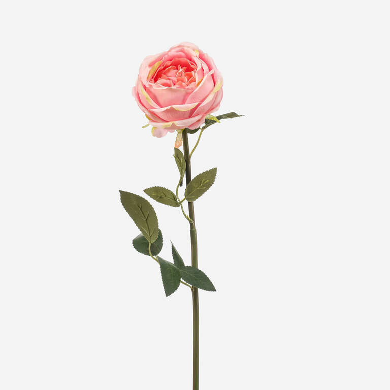 Kunststeel Roos met roze zijden bloem en groene bladeren is een kunststeel met een natuurgetrouwe uitstraling en een lengte van 65 cm.