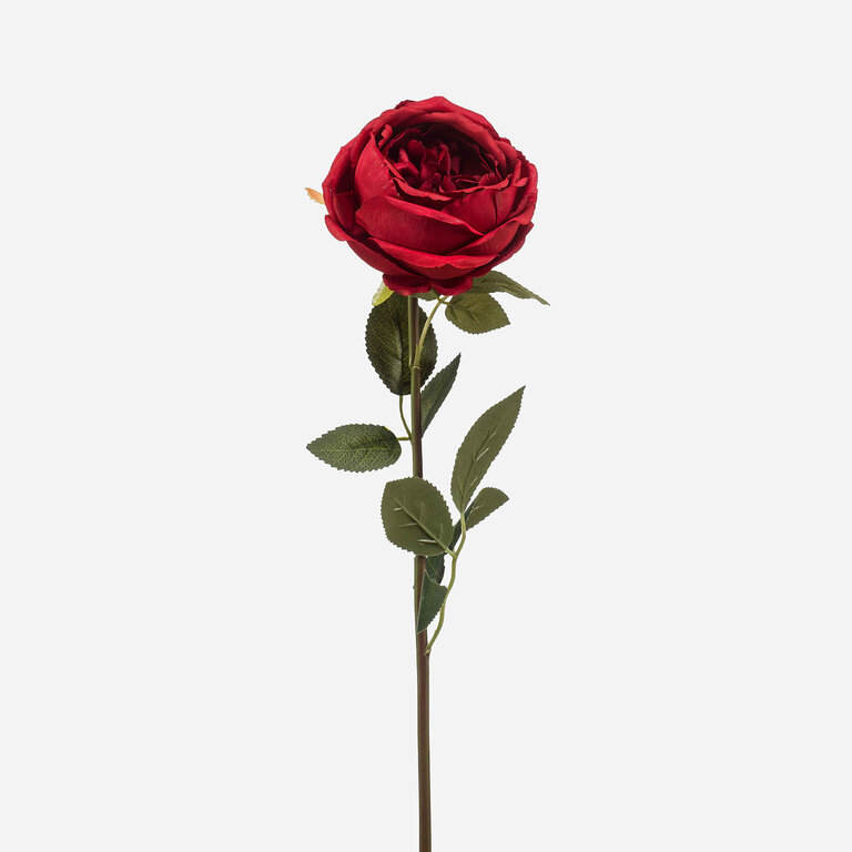 Kunststeel Roos met rode zijden bloem en groene bladeren is een kunststeel met een natuurgetrouwe uitstraling en een lengte van 65 cm.