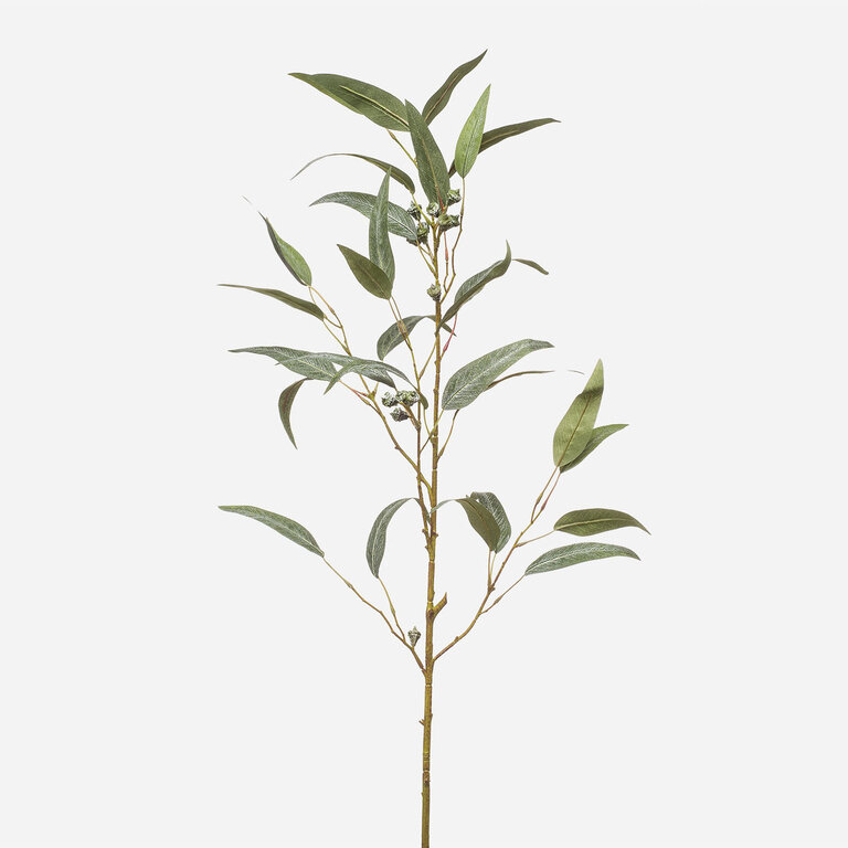 Kunsttak Eucalyptus met groengrijze bladeren en zaaddozen is een kunststeel met een natuurgetrouwe uitstraling en een lengte van 90 cm.