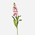 FloraWorks Kunstbloem Matthiola roze (80 cm)