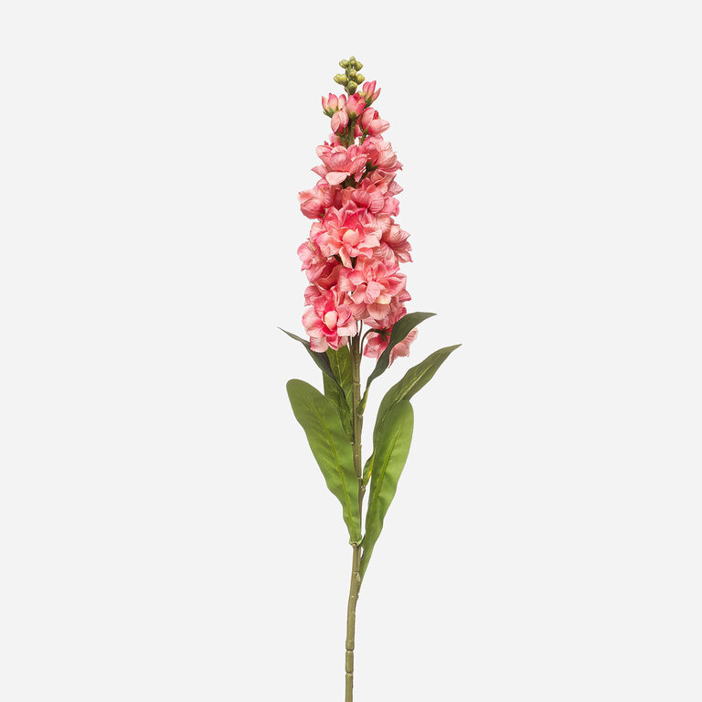 Kunststeel Matthiola met donkerroze zijden bloemen en groene bladeren is een kunststeel met een natuurgetrouwe uitstraling en een lengte van 80 cm.