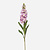 FloraWorks Kunstbloem Matthiola lichtpaars (80 cm)