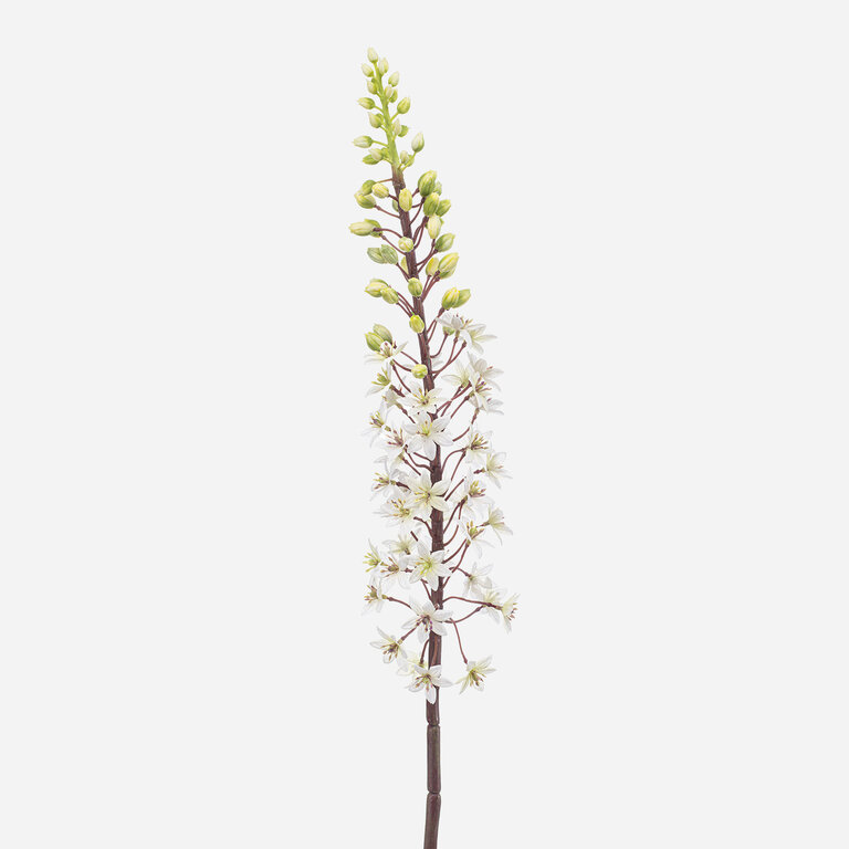 Kunststeel Eremurus met witte zijden bloemen is een kunststeel met een natuurgetrouwe uitstraling en een lengte van 95 cm.