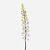FloraWorks Kunstbloem Eremurus wit (95 cm)