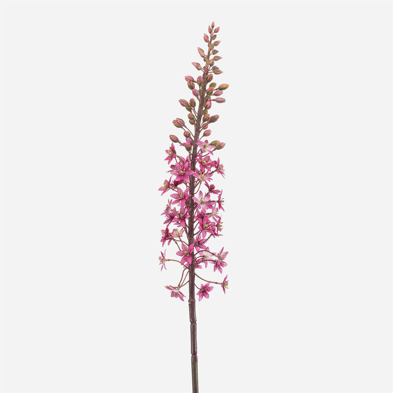 Kunststeel Eremurus met donkerroze zijden bloemen is een kunststeel met een natuurgetrouwe uitstraling en een lengte van 95 cm.