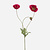 FloraWorks Kunstbloem Papaver donkerroze (75 cm)