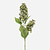 FloraWorks Kunstbloem Hortensia groen (76 cm)