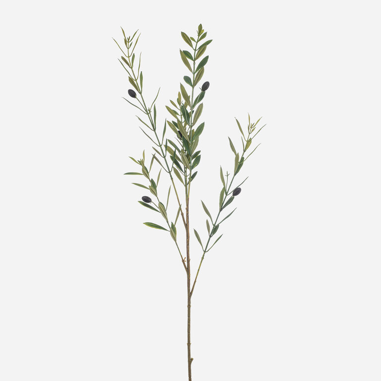 Kunsttak Olijfboom met groene bladeren en olijven is een UV bestendige kunststeel met een natuurgetrouwe uitstraling en een lengte van 90 cm.