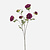 FloraWorks Kunstbloem Ranonkel paars (78 cm)