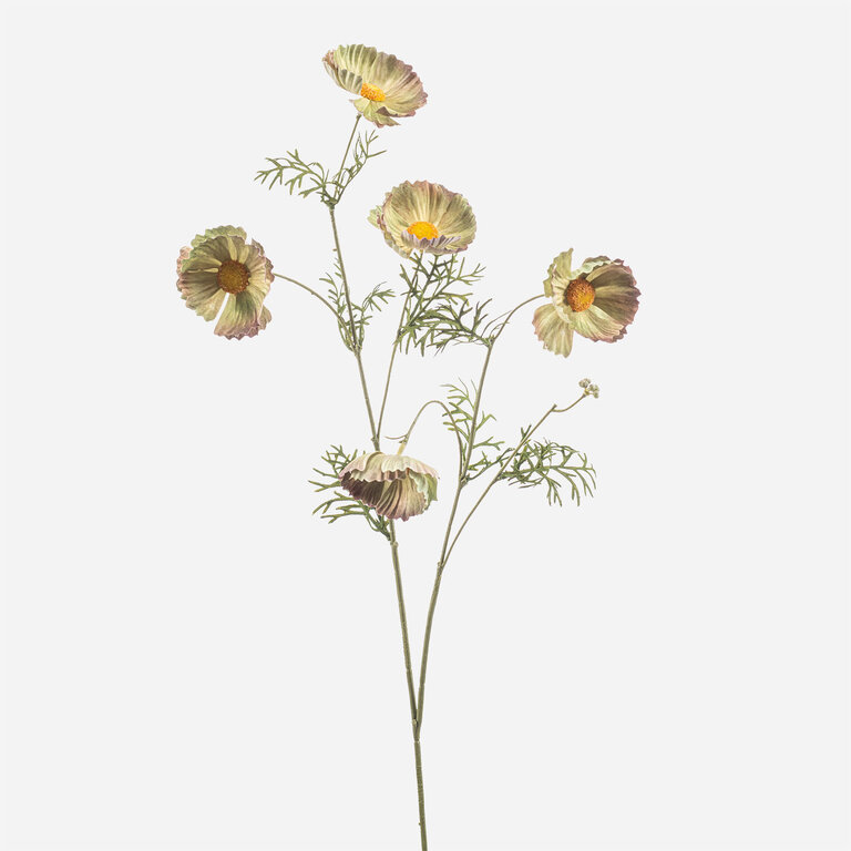 Kunststeel Cosmos met groene zijden bloemen en groene bladeren is een kunststeel met een natuurgetrouwe uitstraling en een lengte van 70 cm.
