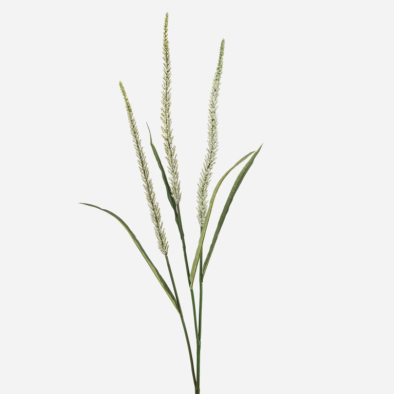 Kunsttak met wit pluim gras is een kunststeel met een natuurgetrouwe uitstraling en een lengte van 115 cm.