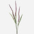 FloraWorks Kunsttak pluim gras paars (115 cm)