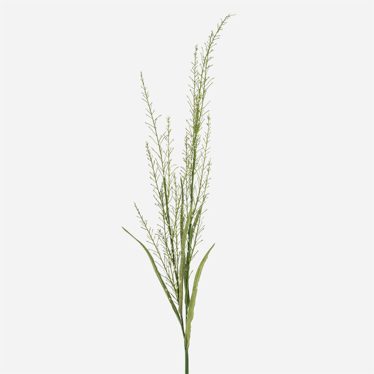 Kunsttak met wit Panicum gras is een kunststeel met een natuurgetrouwe uitstraling en een lengte van 140 cm.