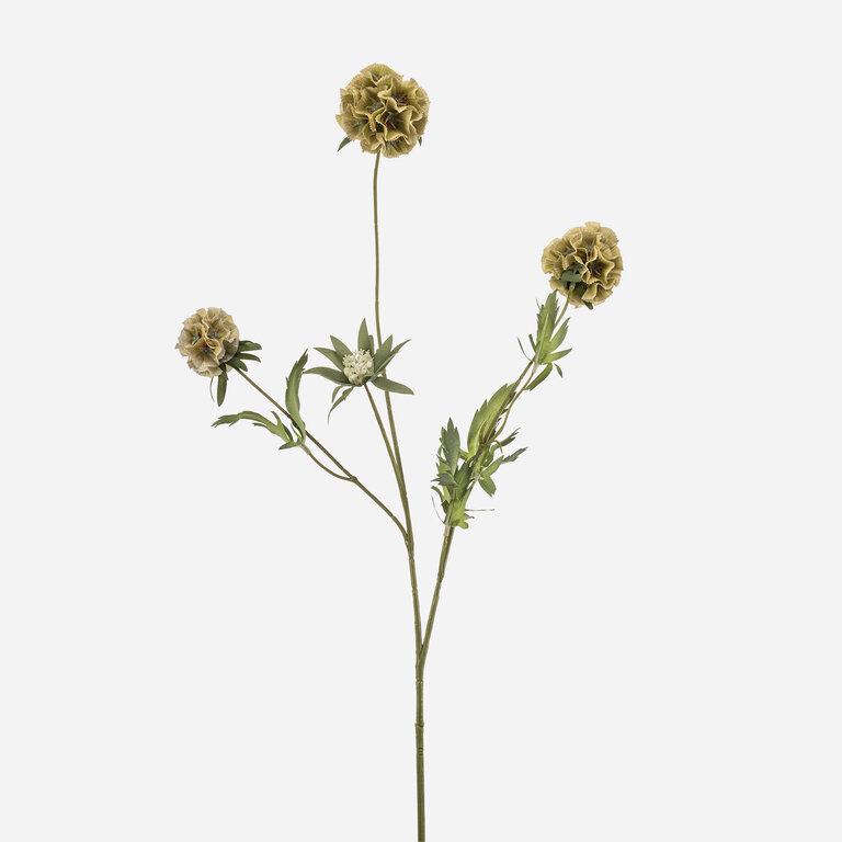 Kunststeel Scabiosa met groene zijden bloem en groene bladeren is een kunststeel met een natuurgetrouwe uitstraling en een lengte van 73 cm.