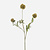 FloraWorks Kunstbloem Scabiosa groen (73 cm)