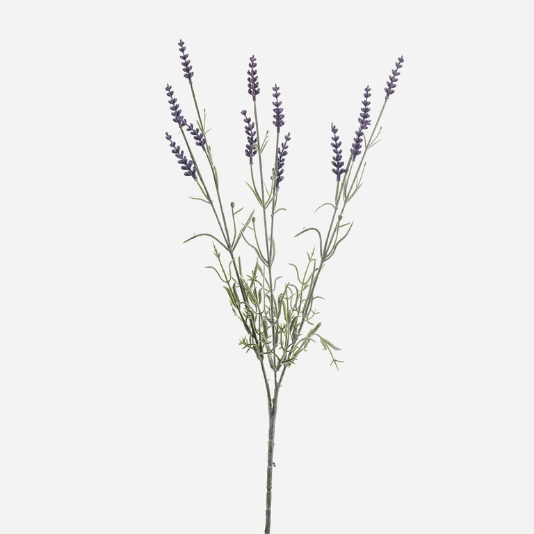 Kunststeel Lavendel met paarse bloemen en groene bladeren is een kunststeel met een natuurgetrouwe uitstraling en een lengte van 68 cm.