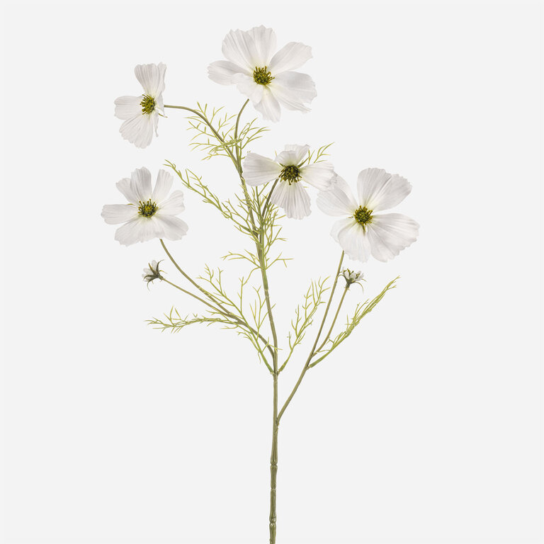 Kunststeel Cosmos met witte zijden bloemen en groene bladeren is een kunststeel met een natuurgetrouwe uitstraling en een lengte van 75 cm.