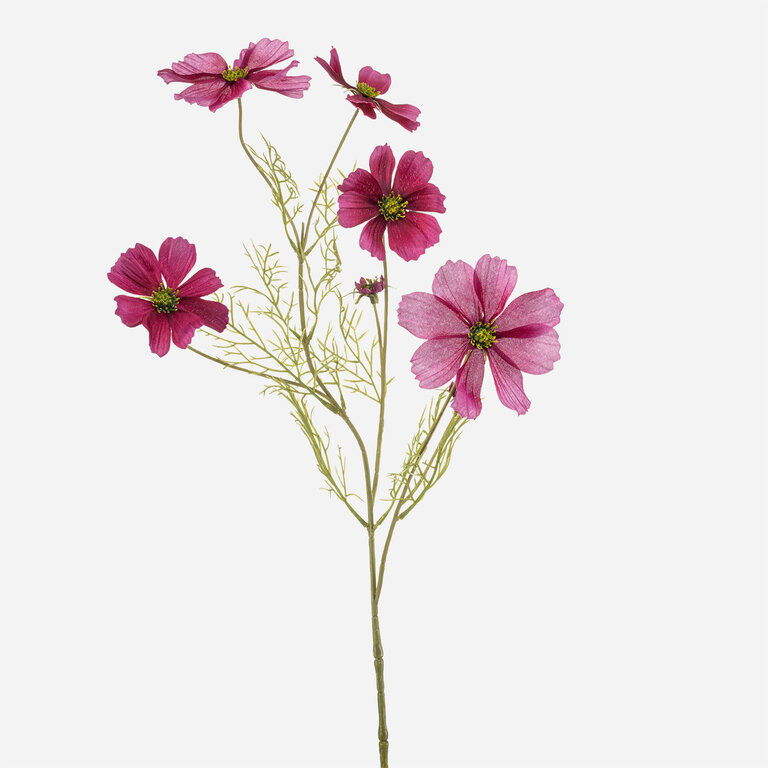 Kunststeel Cosmos met donkerroze zijden bloemen en groene bladeren is een kunststeel met een natuurgetrouwe uitstraling en een lengte van 75 cm.